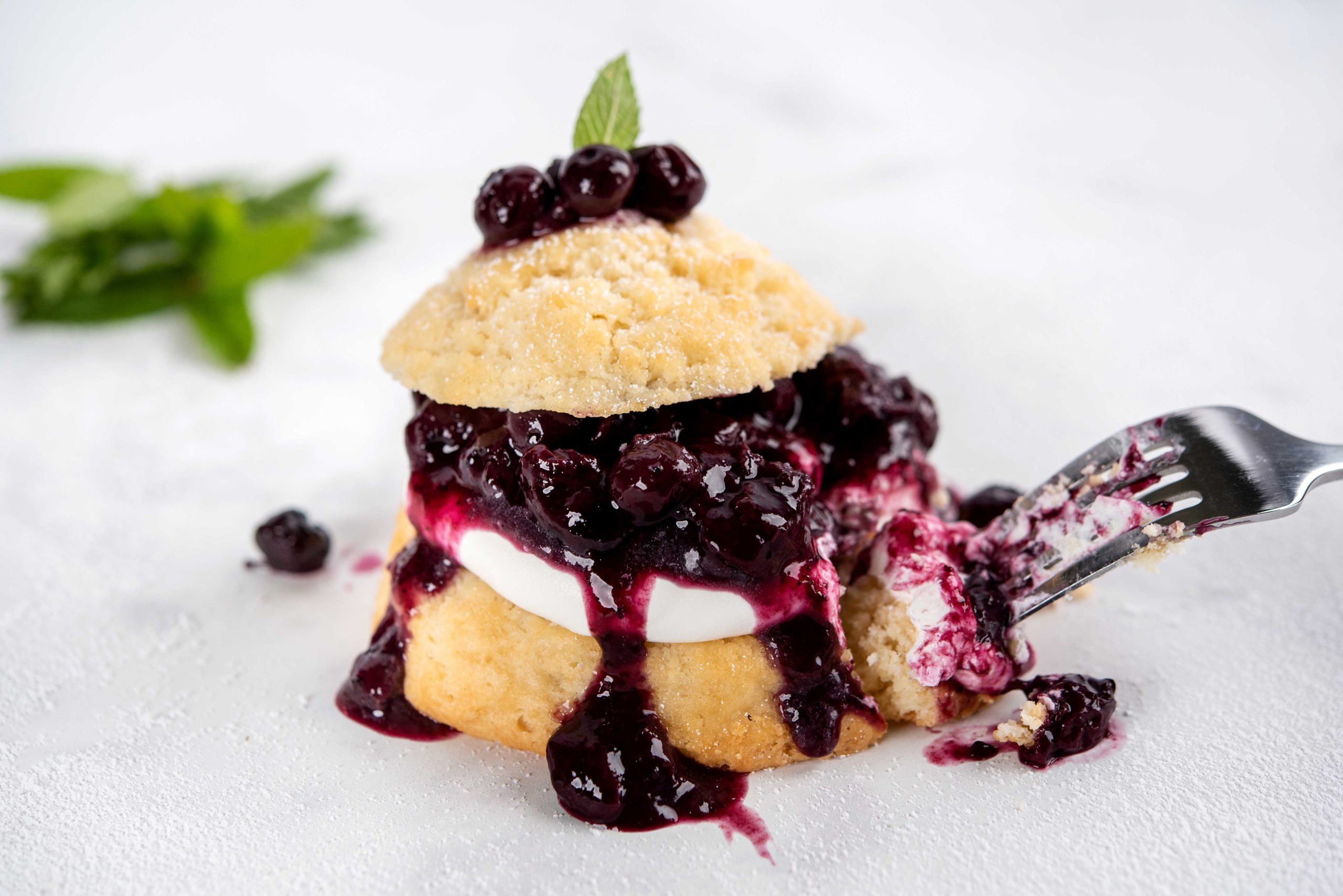 Blueberry Cassis Shortcake